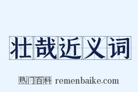 壮哉近义词是什么意思的图片